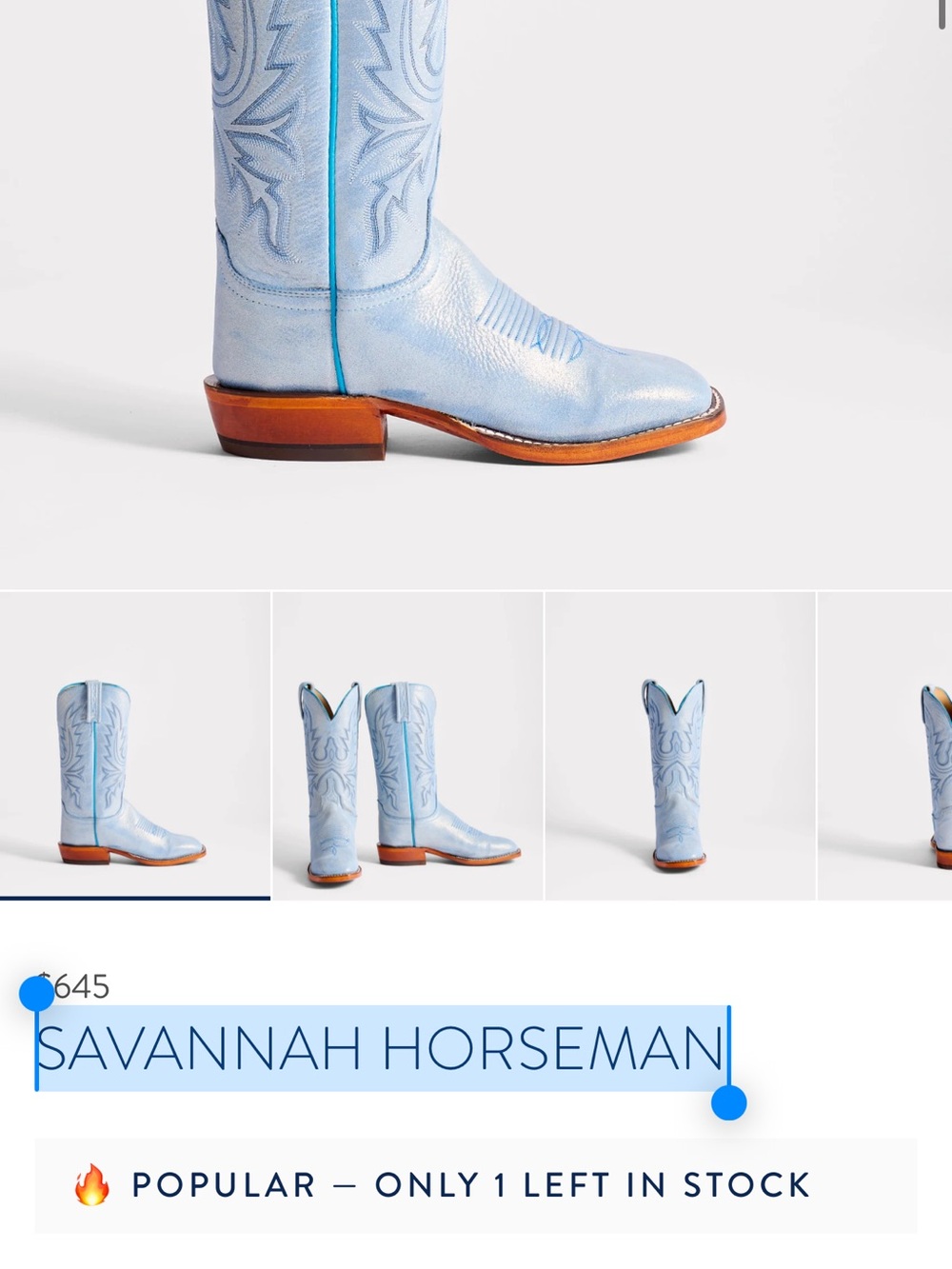 SAVANNAH HORSEMAN - Picture 5 of 9